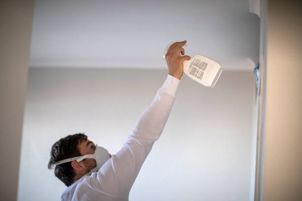 Best Crawl Space Mold Removal  in Adairsville, GA