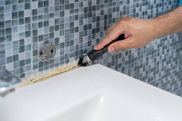 Best Mold Testing  in Adairsville, GA