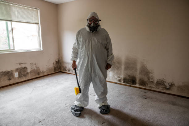 Office Mold Removal Services in Adairsville, GA